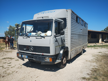 Camion trasporto cavalli