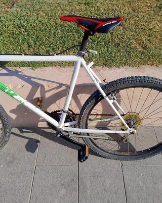 Bicicletta da uomo - Modello Trek 800