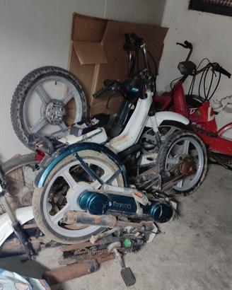 ciao si bravo boxer grillo boss superbravo ricamb