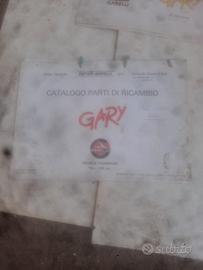 agrate garelli