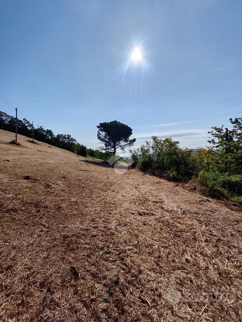 TER. RESIDENZIALE A SOGLIANO AL RUBICONE - Altro