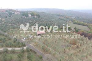 ULIVETO CON ANNESSO VICINO SINALUNGA