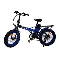 bicicletta elettrica