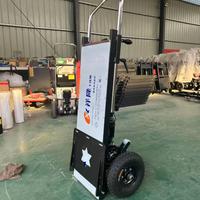 CARRELLO MONTASCALE NUOVO MAI USATO