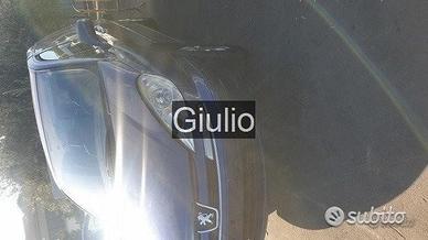 Peugeot 807 blu ricambi