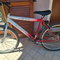 Bicicletta uomo ragazzo