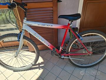 Bicicletta uomo ragazzo
