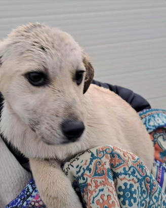 Piccolina dolcissima