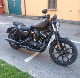 Harley-Davidson Sportster 883 - 2020