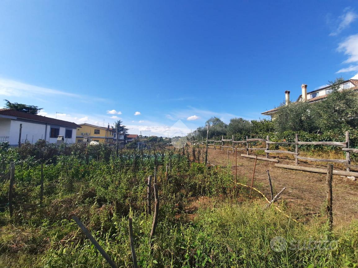TER. AGRICOLO A ALBANO LAZIALE - Vista 3