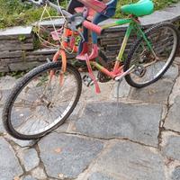 Bici da adulto con seggiolino posteriore
