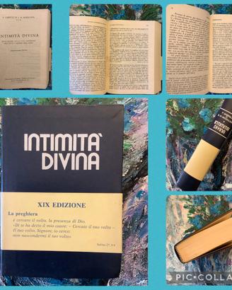 Intimità Divina 1992 Meditazioni giornaliere P. Ga