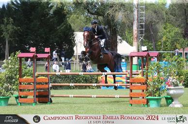 Cavalla Salto Ostacoli Zangersheide 2013