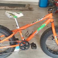 fat bike 