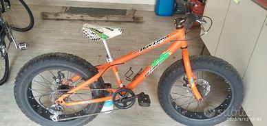 fat bike 