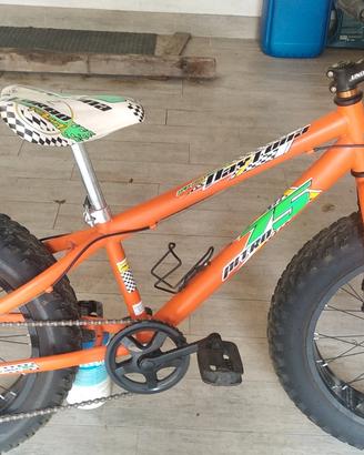 fat bike 