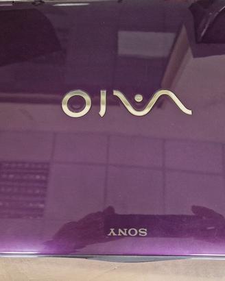 Sony Vaio
