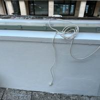 Neon con lampada luce fredda