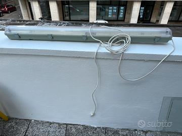 Neon con lampada luce fredda