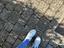 Immagine 5