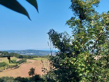 Sant Angelo casa singola 2 livelli terra 2 ettari
