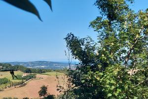 Sant Angelo casa singola 2 livelli terra 2 ettari