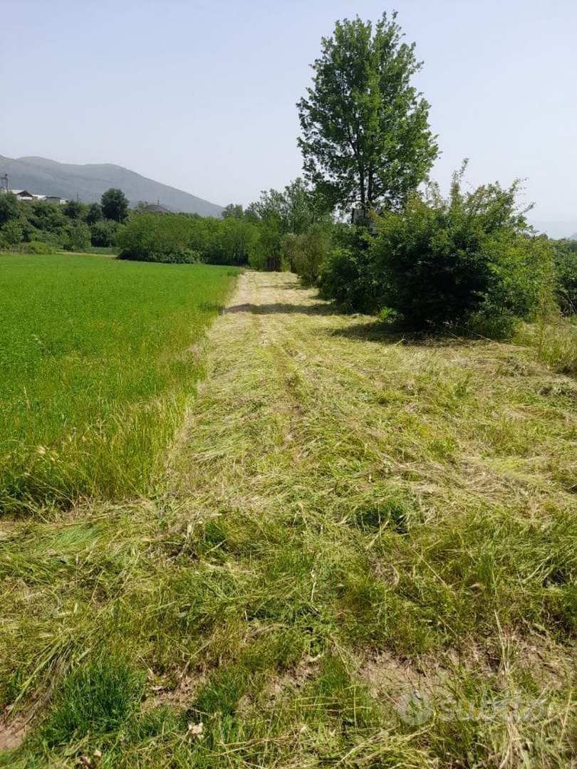 Terreno agricolo Pontelatone - Vista 3