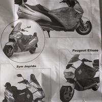Termoscudo R031
