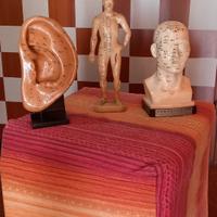 Modelli per studio agopuntura