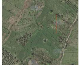 Terreno Agricolo Roccascalegna [A4305542]
