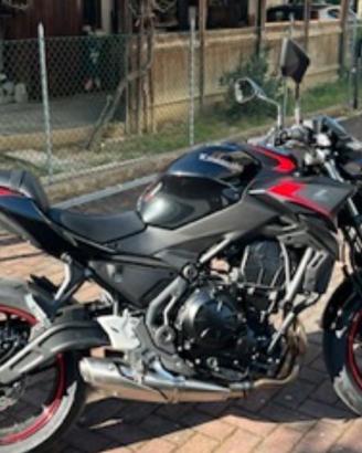 Scarico Originale z650