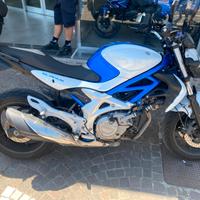 Suzuki Gladius 650 - 2009