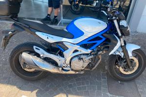 Suzuki Gladius 650 - 2009