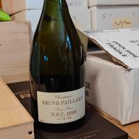 bruno paillard npu