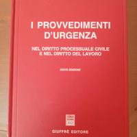 I provvedimenti d'urgenza