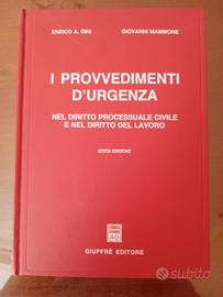 I provvedimenti d'urgenza