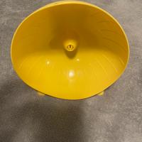 ruota per roditori