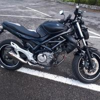 Suzuki SFV Gladius 650 - 2010