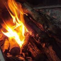 Legna da ardere secca