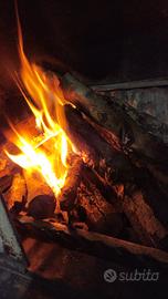 Legna da ardere secca