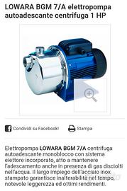 Lowara BGM/ A DA 1HP