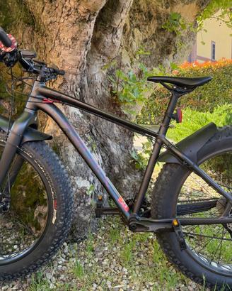 Specialized Fatboy Comp Carbon Taglia M