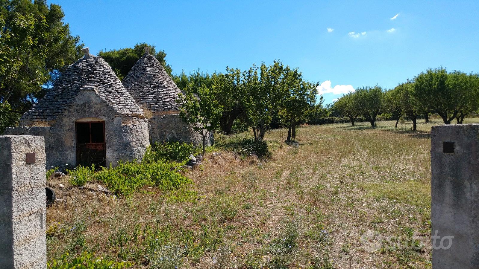 Terreno edificabile e Trulli - Vista 2