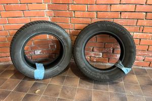 Due gomme Michelin invernali