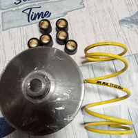 Variatore Malossi per Honda sh 125 mode