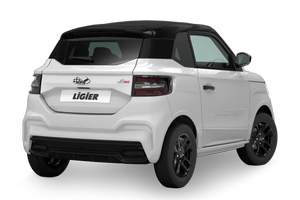 LIGIER RICAMBI PREVENTIVI WZP 3334184615