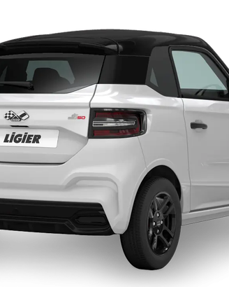 LIGIER RICAMBI PREVENTIVI WZP 3334184615