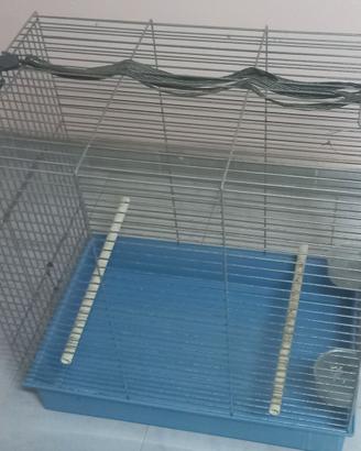 Casa per volatili usata buono stato