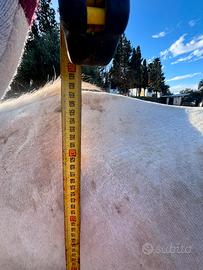 Pony perfetto per tutti