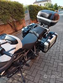 Triumph Tiger 1215 del 2017